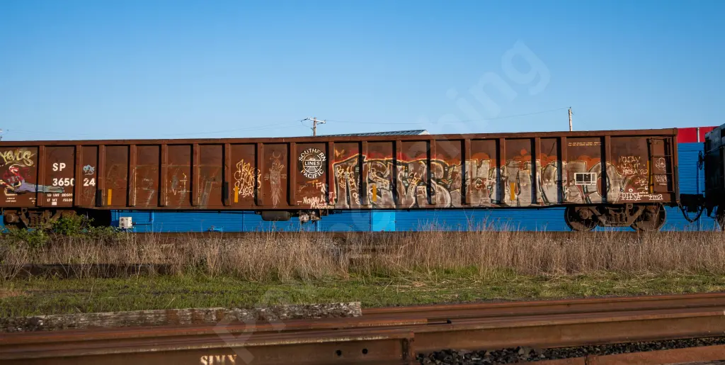 SP365024 - NORTH-AMERICA