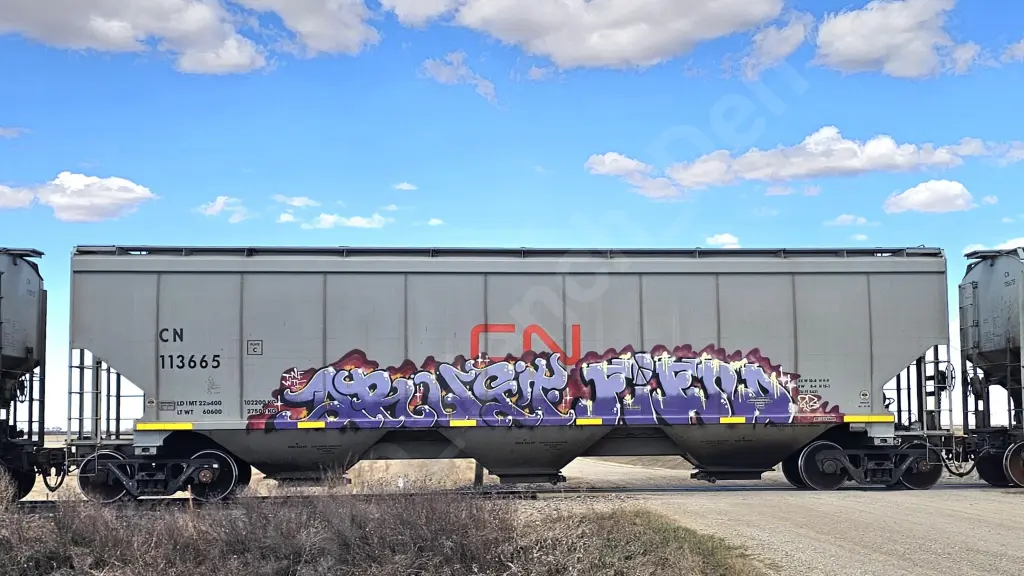 CN113665 - NORTH-AMERICA