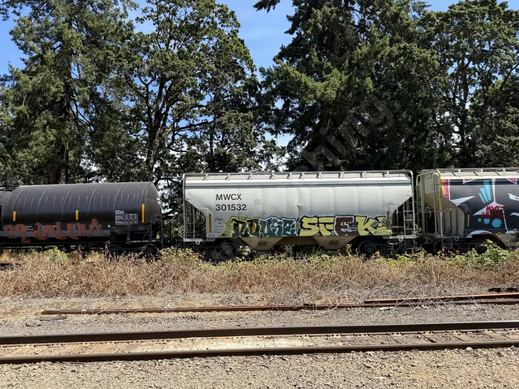 MWCX301532 - NORTH-AMERICA
