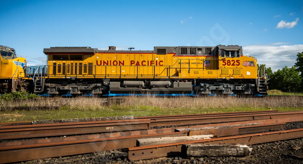 UP5825 - NORTH-AMERICA