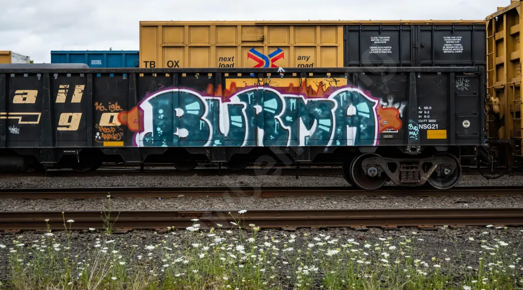 GNTX296078 - NORTH-AMERICA