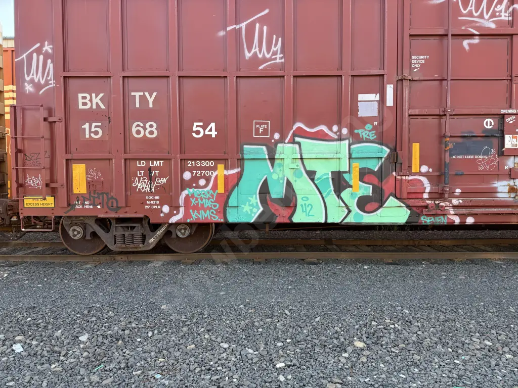 BKTY156854 - NORTH-AMERICA
