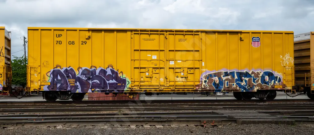 UP700829 - NORTH-AMERICA