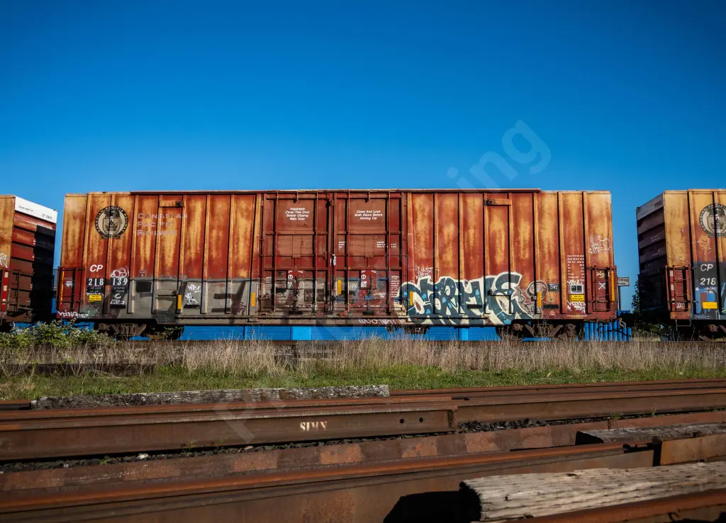 CP218139 - NORTH-AMERICA