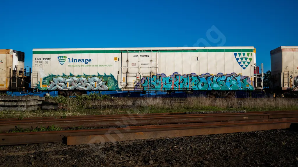 LIX10012 - NORTH-AMERICA