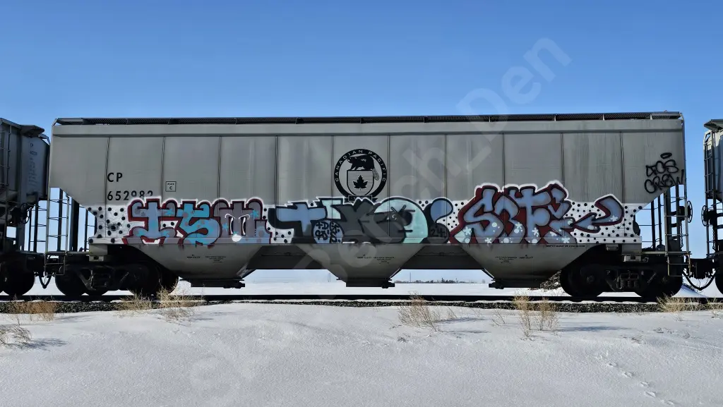 CP652982 - NORTH-AMERICA
