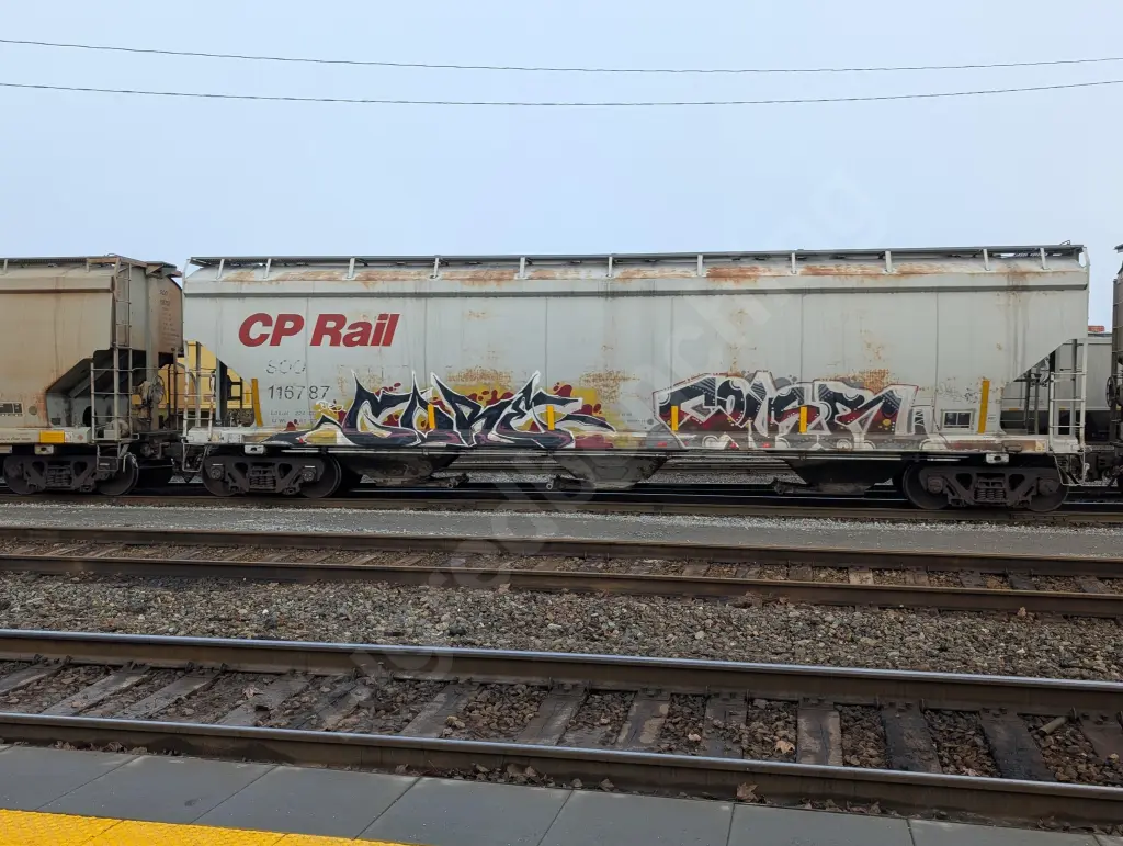SOO116787 - NORTH-AMERICA