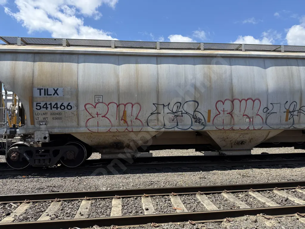TILX541466 - NORTH-AMERICA