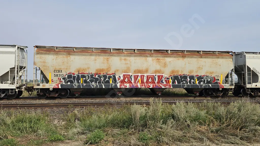 CCBX58313 - NORTH-AMERICA