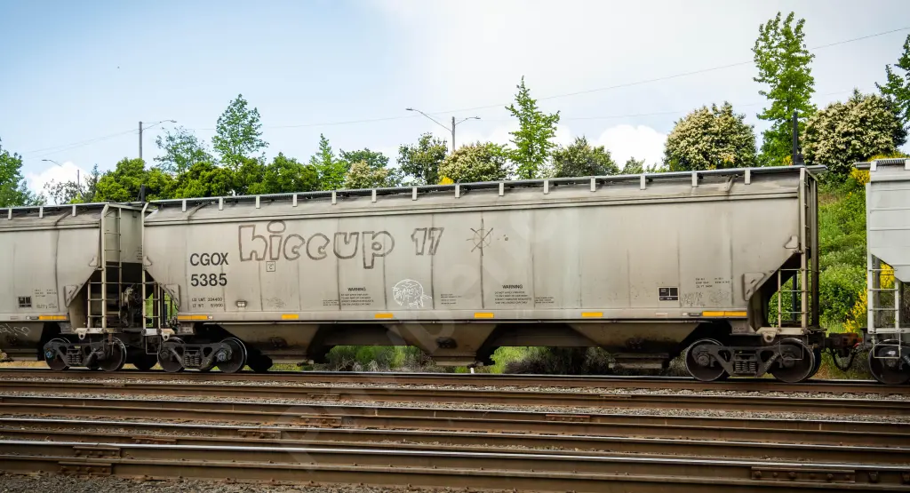 CGOX5385 - NORTH-AMERICA