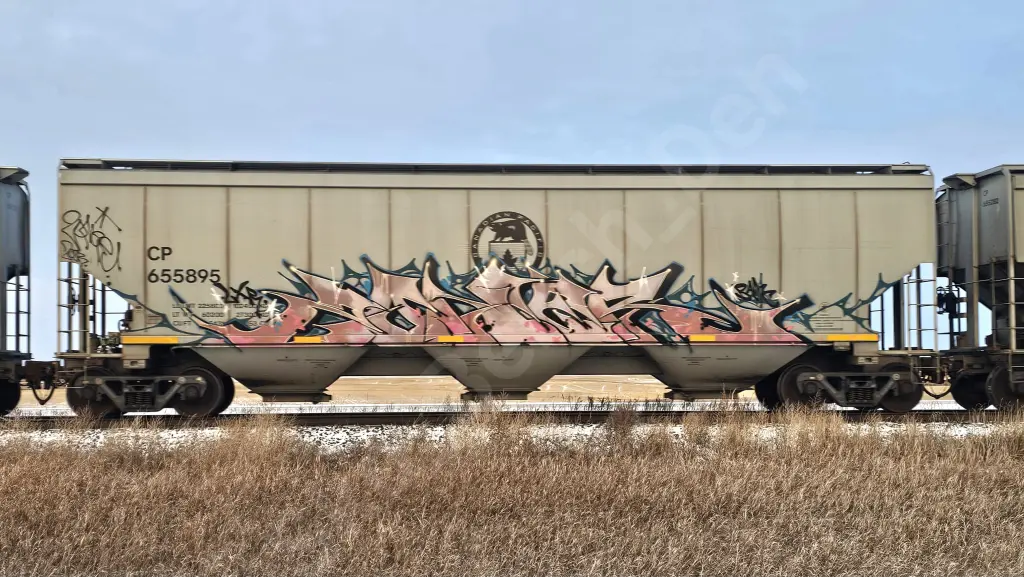CP655895 - NORTH-AMERICA