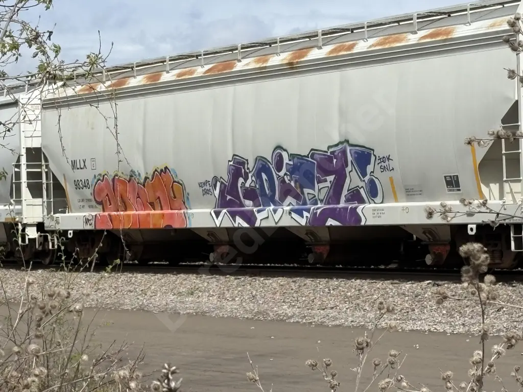 MLLX98348 - NORTH-AMERICA