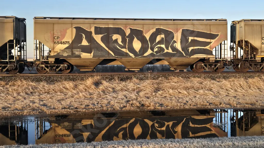 CP654675 - NORTH-AMERICA