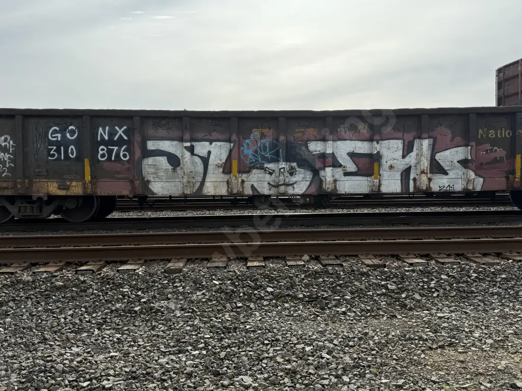 GONX310876 - NORTH-AMERICA