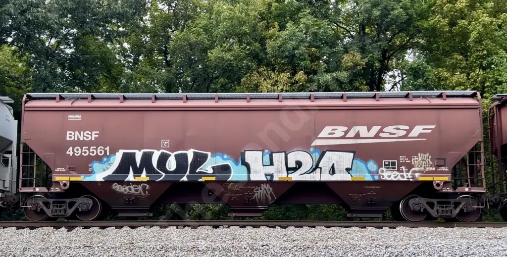 BNSF495561 - NORTH-AMERICA