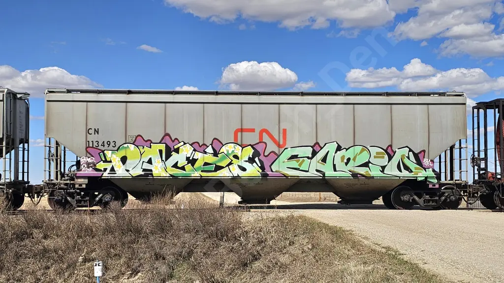 CN113493 - NORTH-AMERICA