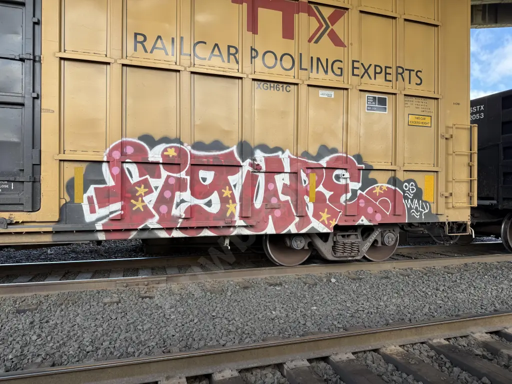 TBOX644462 - NORTH-AMERICA