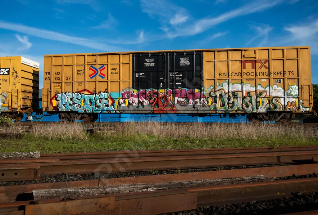TBOX630337 - NORTH-AMERICA