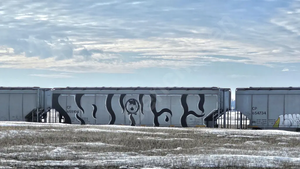CP655104 - NORTH-AMERICA