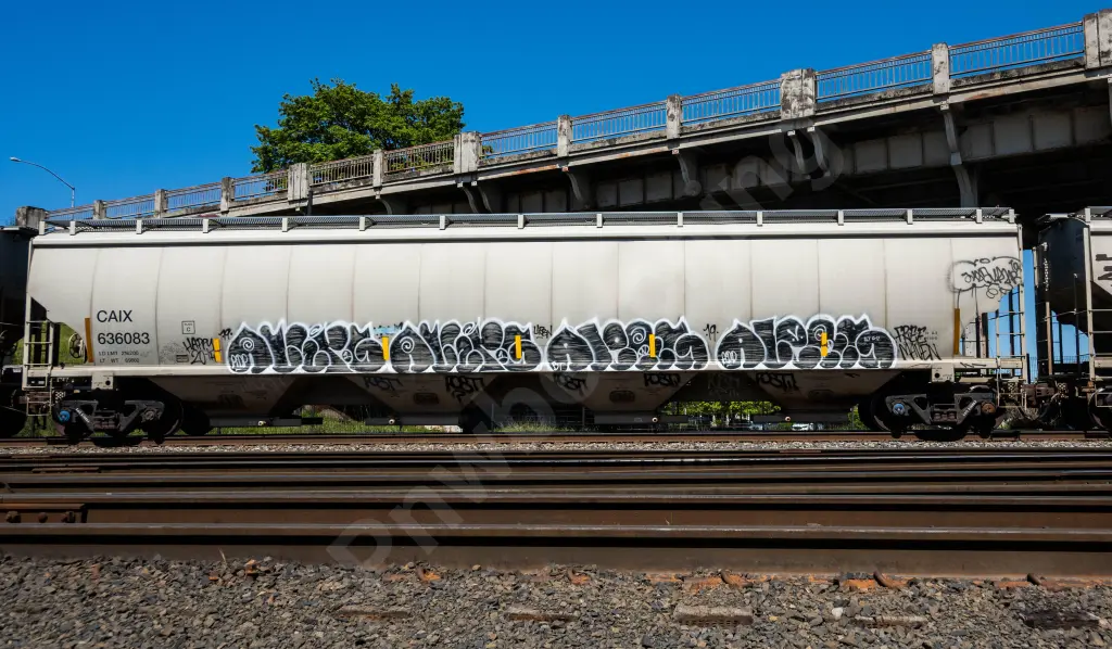 Train photo