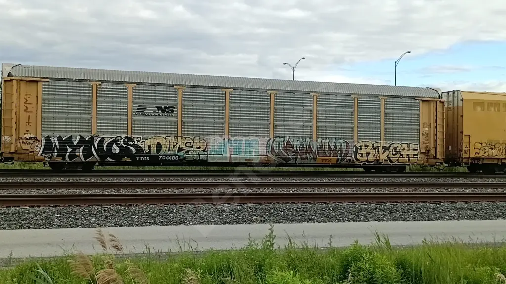 TTGX704486 - NORTH-AMERICA