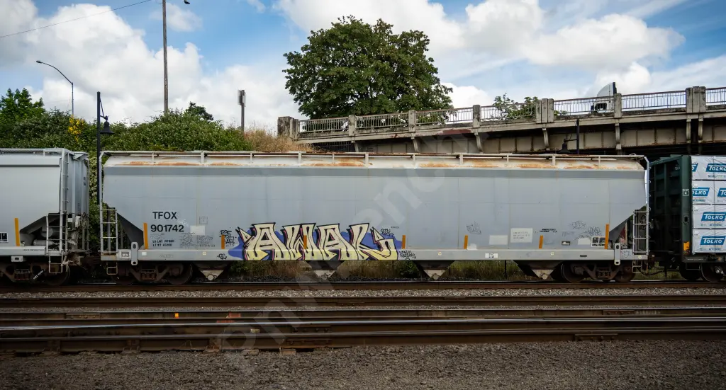 TFOX901742 - NORTH-AMERICA