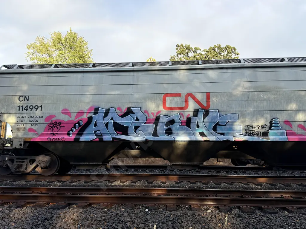 CN114991 - NORTH-AMERICA