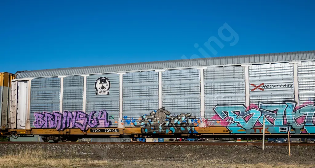 TTGX709105 - NORTH-AMERICA