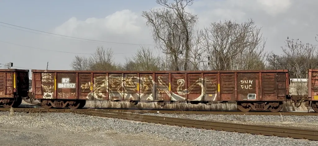 MP842517 - NORTH-AMERICA