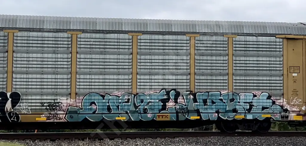 TTGX158554 - NORTH-AMERICA