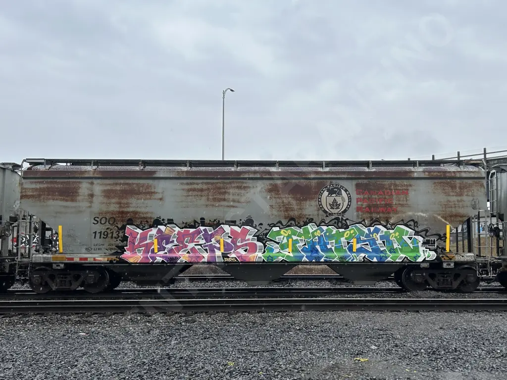 SOO119133 - NORTH-AMERICA