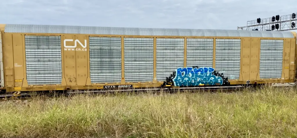 CTTX690817 - NORTH-AMERICA