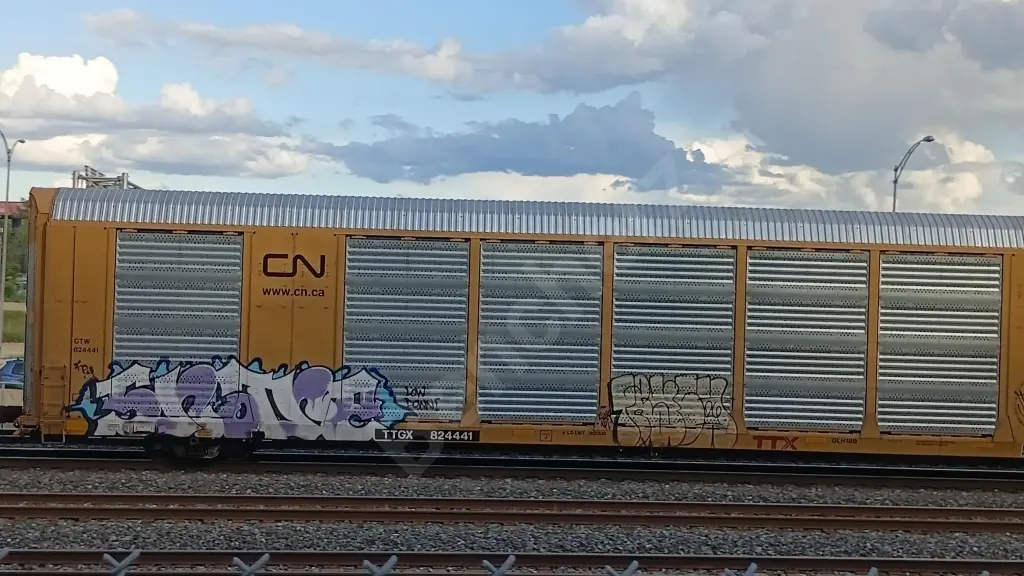 TTGX824441 - NORTH-AMERICA