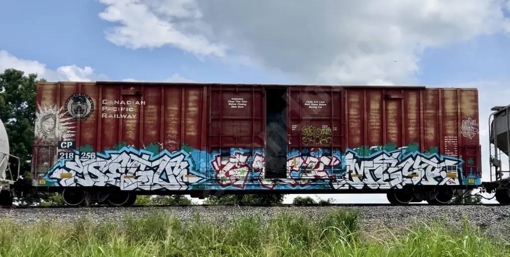 CP218256 - NORTH-AMERICA