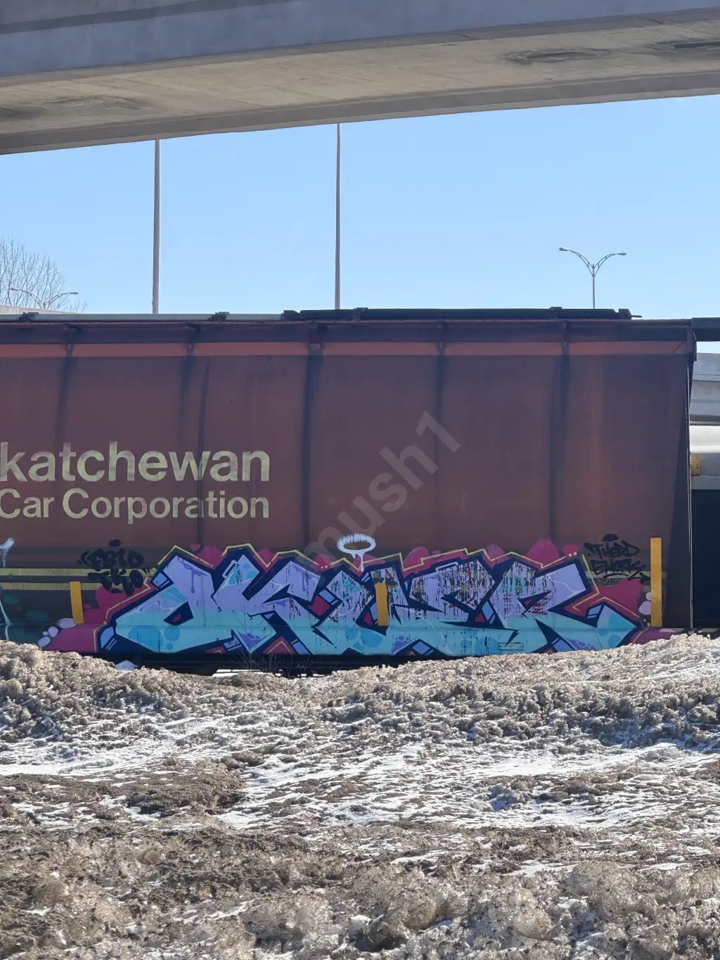 MGLX397098 - NORTH-AMERICA