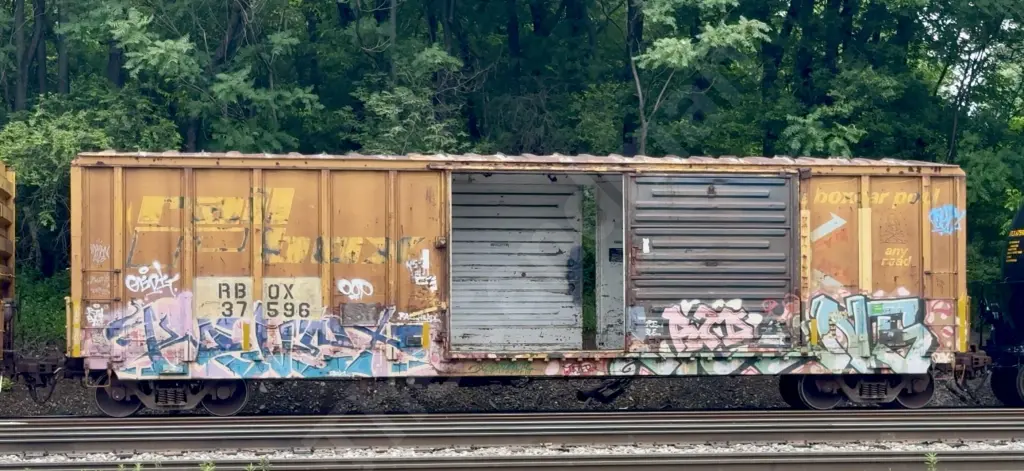 RBOX37596 - NORTH-AMERICA
