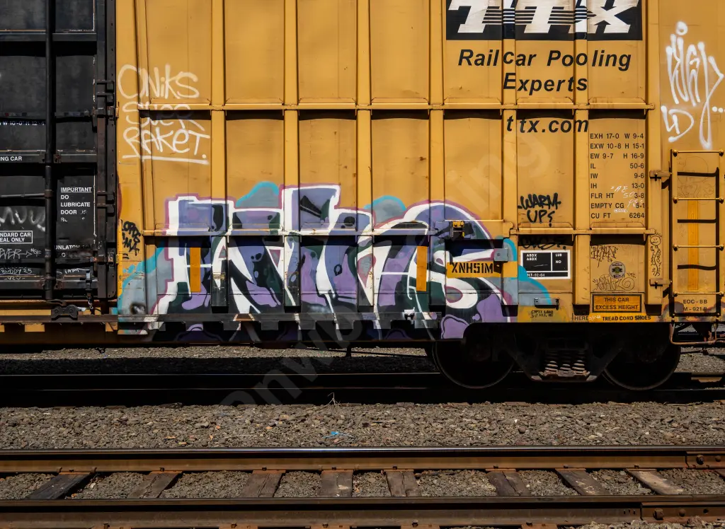 FBOX502500 - NORTH-AMERICA