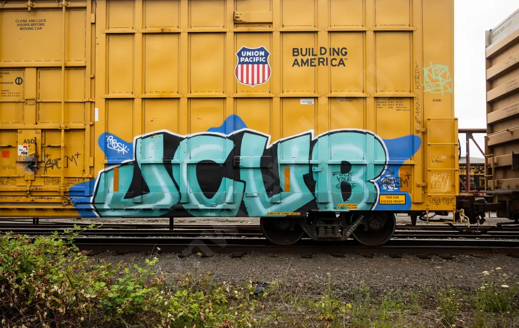 BKTY160024 - NORTH-AMERICA