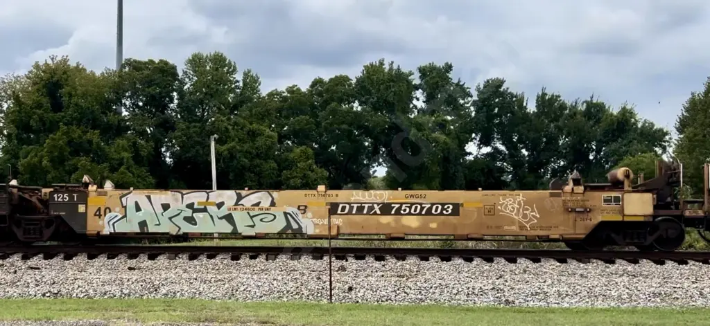DTTX750703 - NORTH-AMERICA