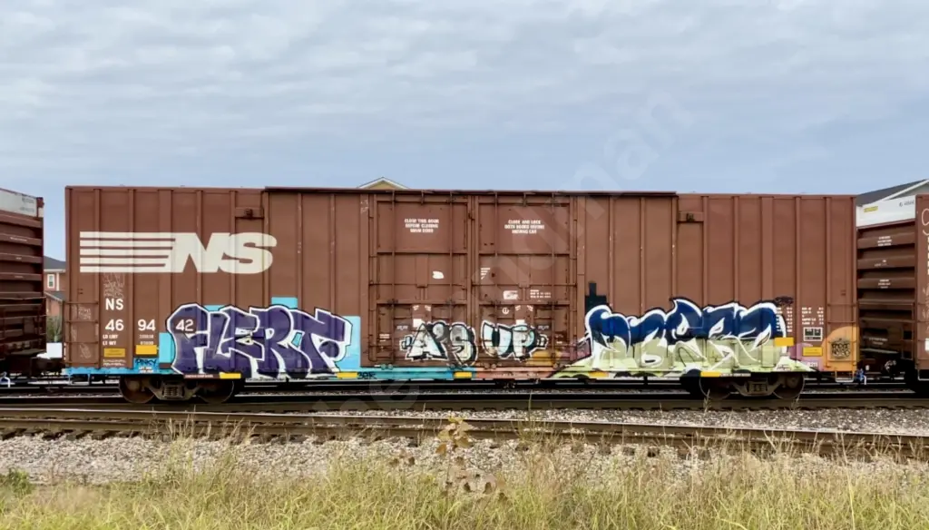 NS469442 - NORTH-AMERICA