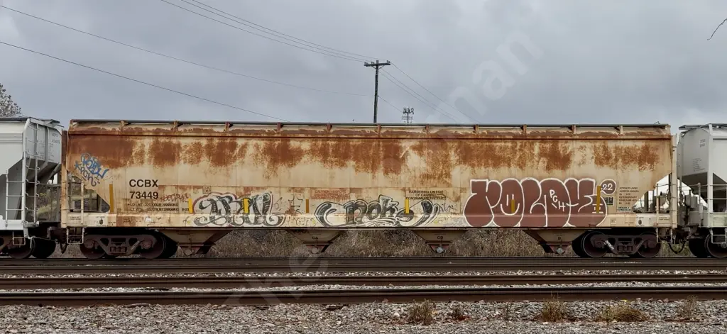 CCBX73449 - NORTH-AMERICA