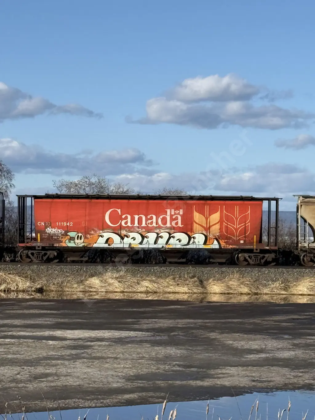 CN111942 - NORTH-AMERICA