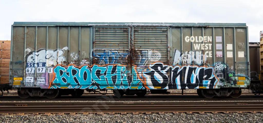 SSW67971 - NORTH-AMERICA