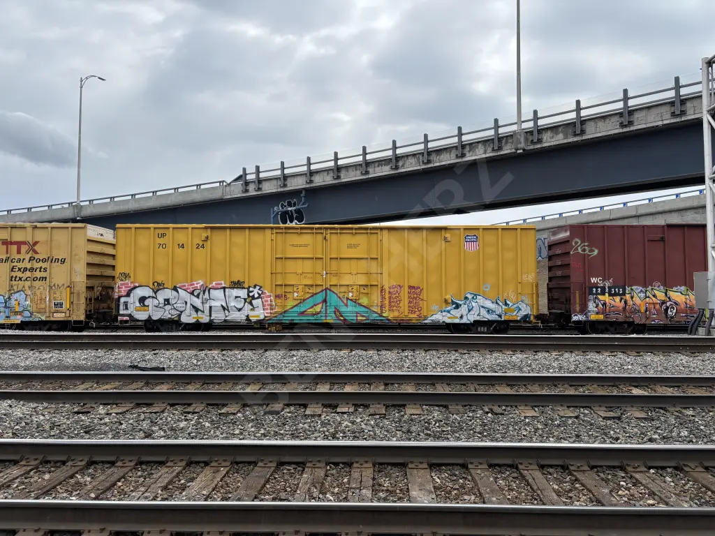 UP701424 - NORTH-AMERICA