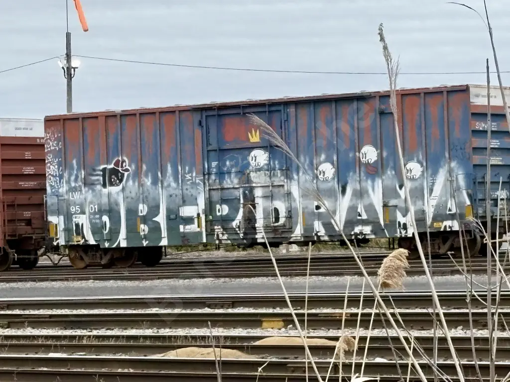 LW9501 - NORTH-AMERICA