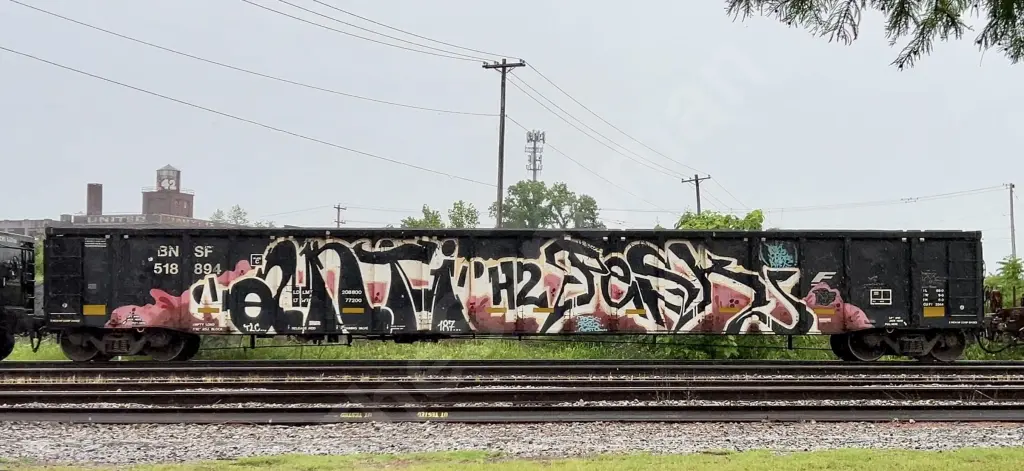 BNSF518894 - NORTH-AMERICA
