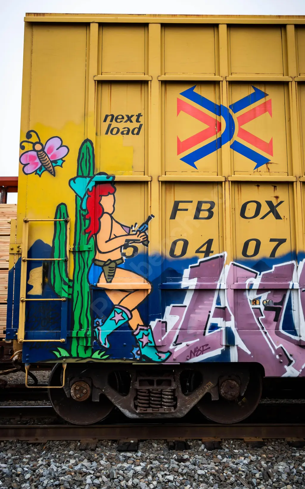 FBOX504079 - NORTH-AMERICA