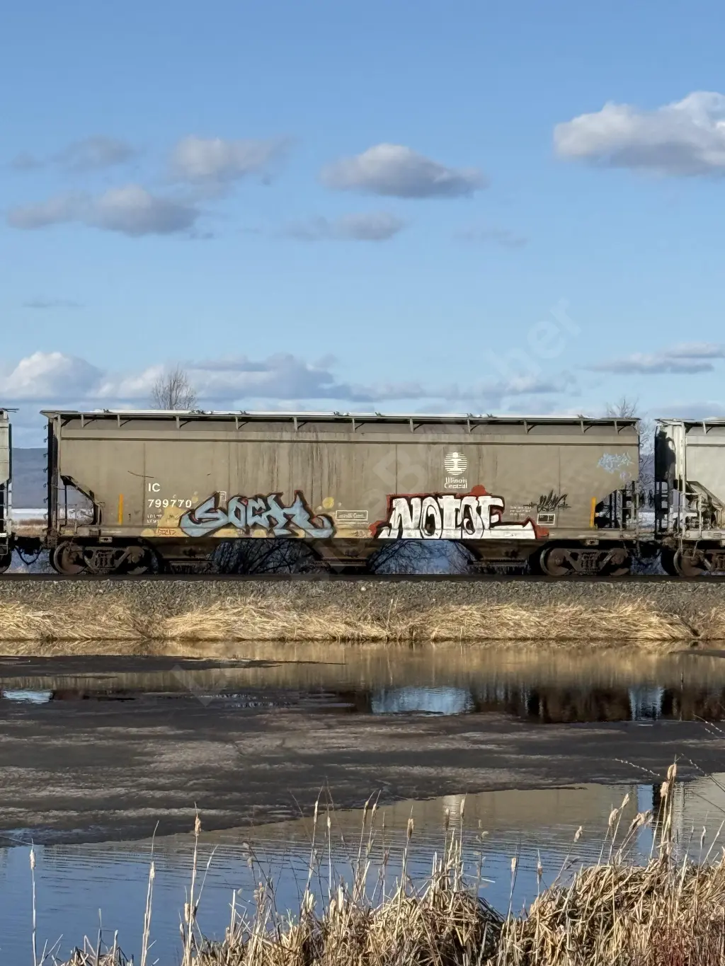 IC799770 - NORTH-AMERICA