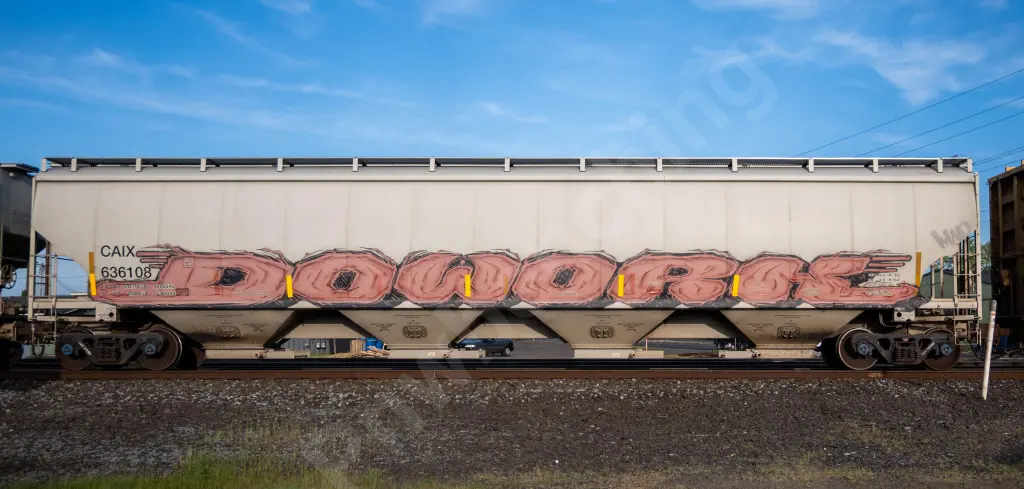 CAIX636108 - NORTH-AMERICA