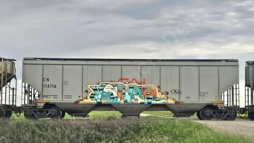 CN114116 - NORTH-AMERICA